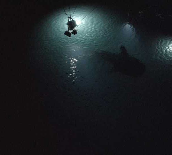 DJI_0091_Requin_baleine_nuit_sous_gros_eclairage