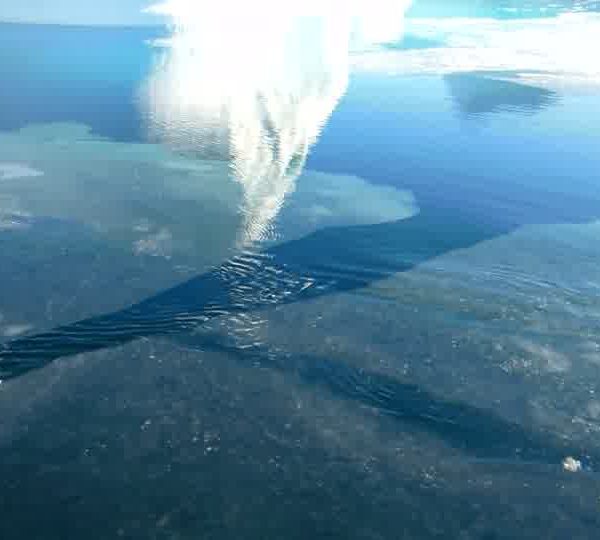 Fine_pellicule_de_glace_se_casse_devant_iceberg.jpg