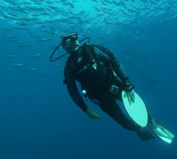 François_avec_requin_blanc