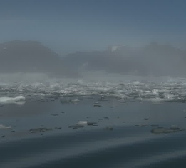 Front_de_glacier_avec_iberberg_et_brush_dans_brume.jpg