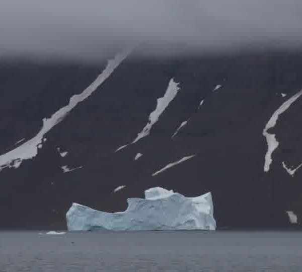 Iceberg_dans_fiord_plan_large_et_fixe.jpg