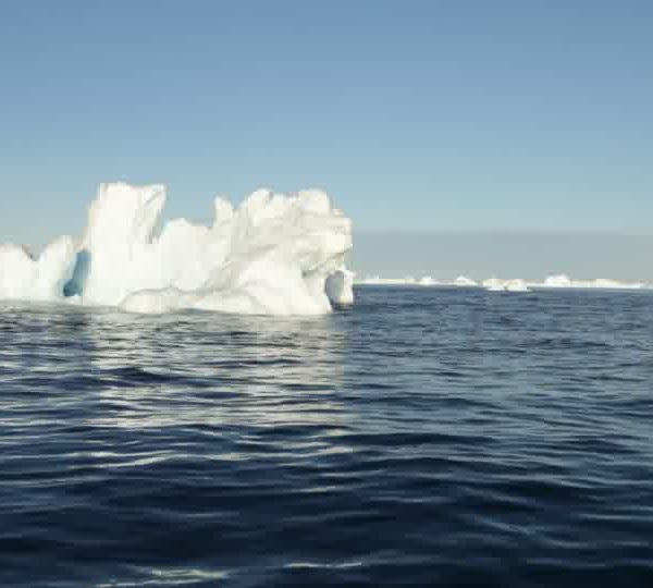 Iceberg_jolie_forme.jpg