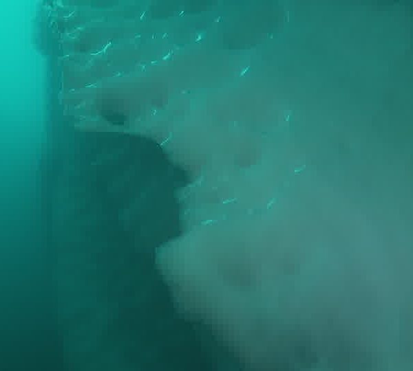 Iceberg_pano_plan_moyen.jpg