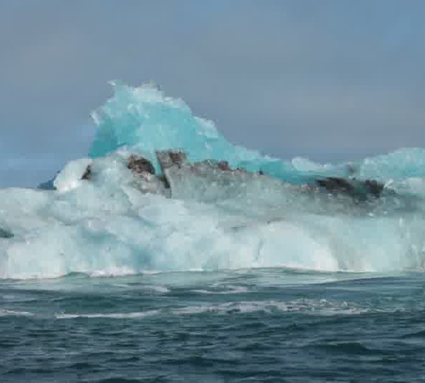 Iceberg_se_retourne_matteo.jpg