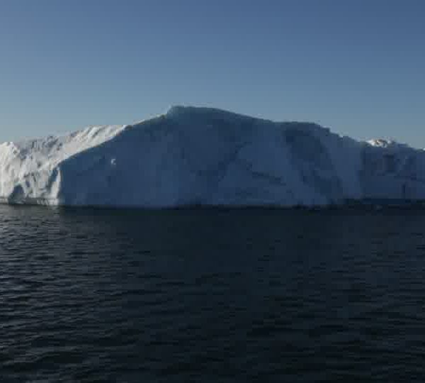 Iceberg_un_apree_l_autre_entree_de_champ.jpg