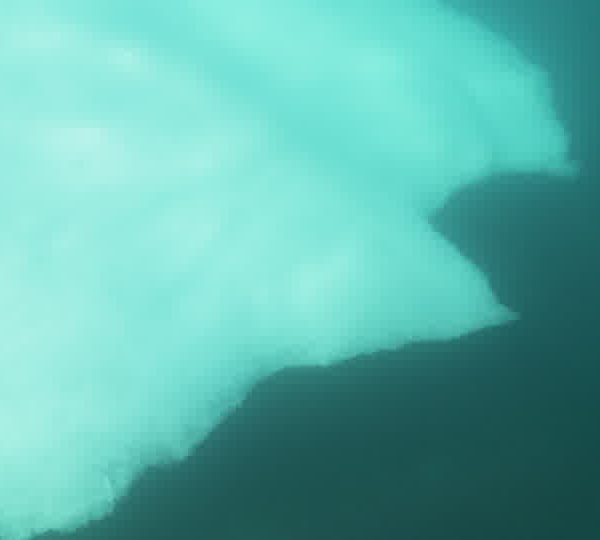 Iceberg_vue_de_dessus.jpg