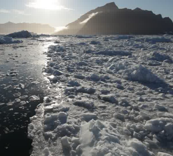 Passage_dans_brasch_gros_tapis_de_glace.jpg