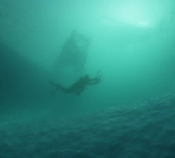 Plongeur_en_contre_avec_Iceberg_ey_glace_au_dessus.jpg