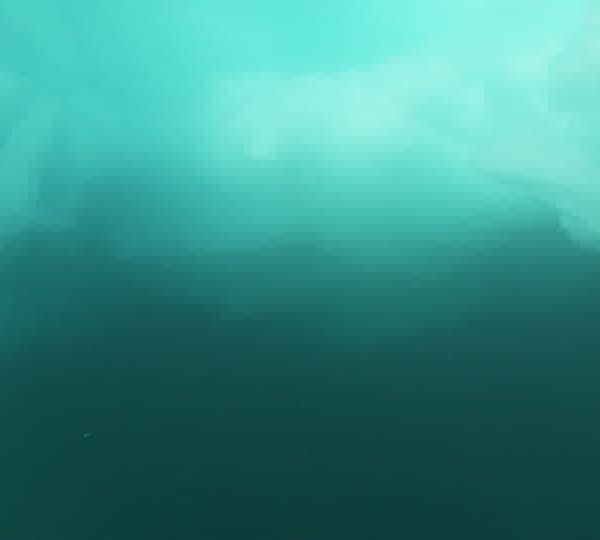Plongeur_filme_iceberg.jpg