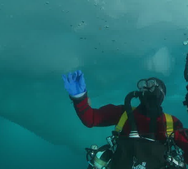 Plongeur_sous_iceberg.jpg