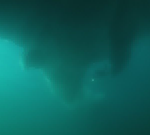 Plongeur_sous_iceberg_plan_large.jpg