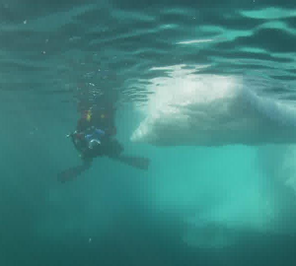 Plongeur_sous_la_surface_avec_iceberg.jpg