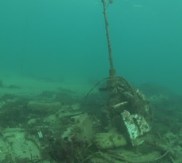 Pollution_moteur_de_bateau_pneu_et_lievre_de_mer_agonise_partie_1_OK.jpg