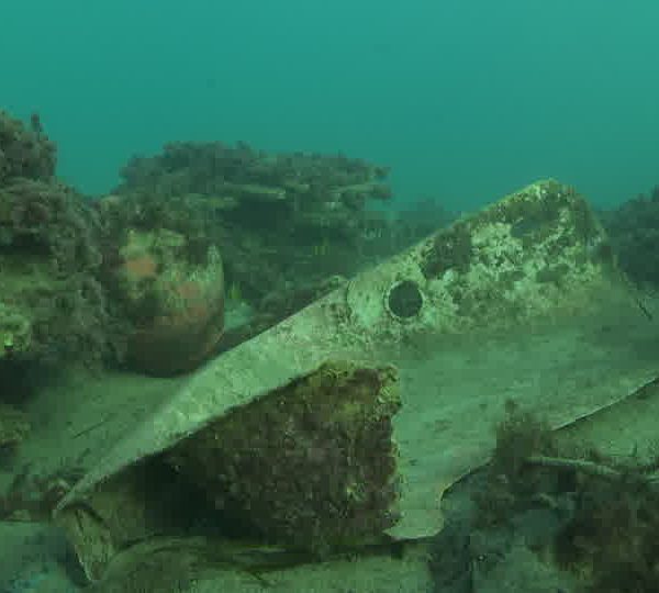 Pollution_moteur_de_bateau_pneu_et_lievre_de_mer_agonise_partie_2_OK.jpg