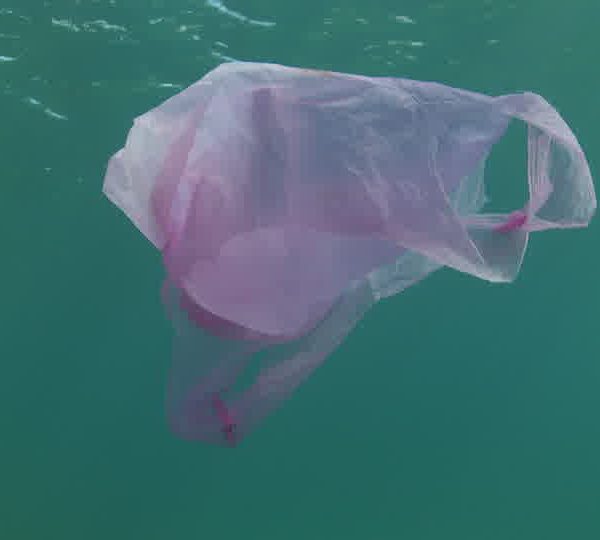 Pollution_sac_plastique_pleine_eau