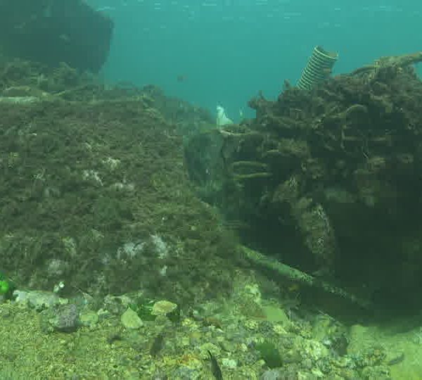 Pollution_travelling_sur_tuyau_avec_poissons_OK