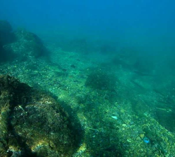 Pollution_tuyau_poissons_derriere.jpg