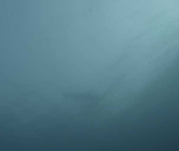 R082C005_181218HK