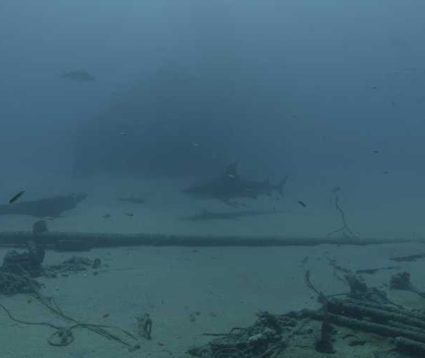 R149C002_191026GG R149C002_191026GG