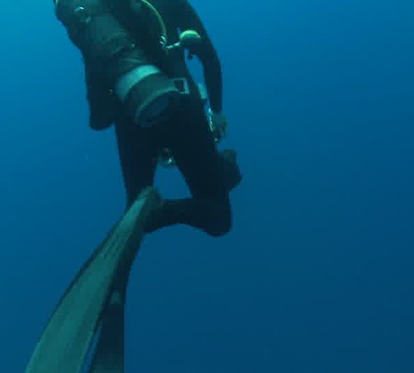 Requin_blanc_passe_sous_Jean_Marie_et_Martin