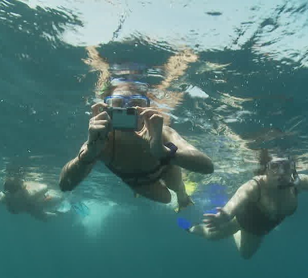 Touristes_prennent_en_photo_le_requin_baleine