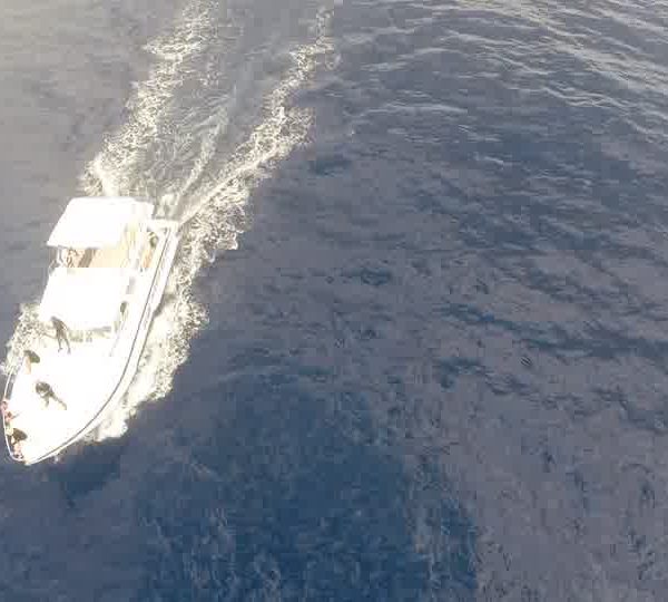 drone petit bateau qui suit un cachalot