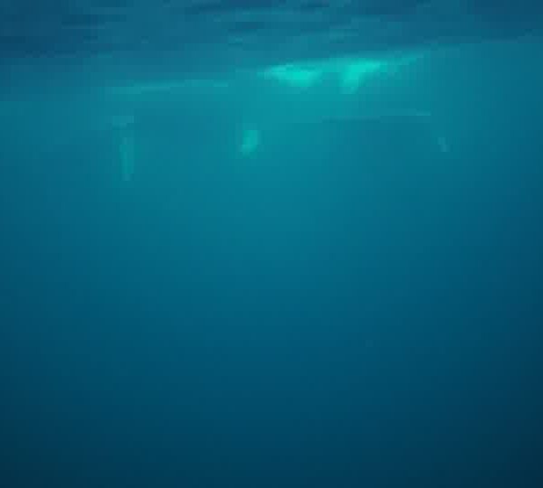 orques-orca-close-kw